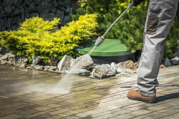Best Solar Panel Cleaning  in Norlina, NC