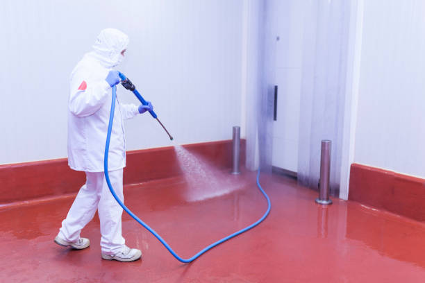 Best Pre-Holiday Cleaning  in Norlina, NC