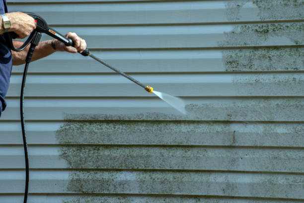 Solar Panel Cleaning in Norlina, NC